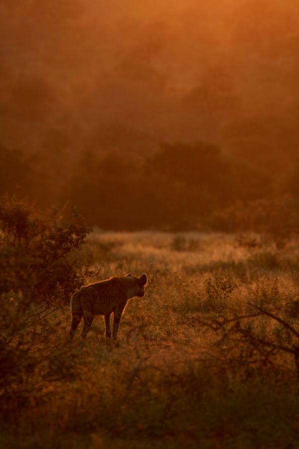 Ivory Wilderness River Rock Lodge Reserva Natural de Klaserie Exterior foto